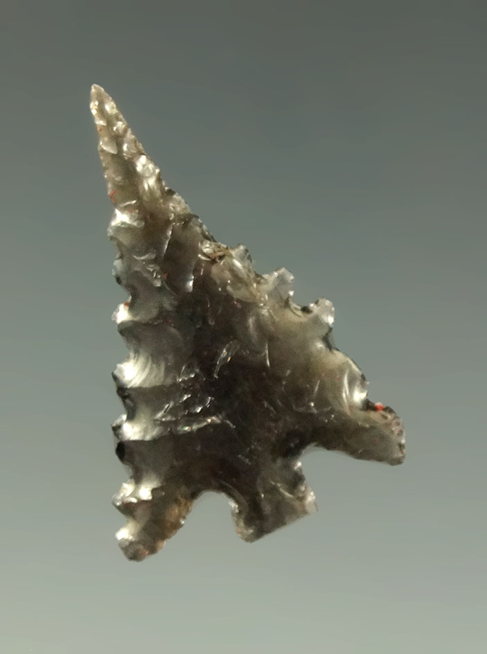 15/16" Calapooya point with nice edge serrations found in northern California. Ex. Shewey.