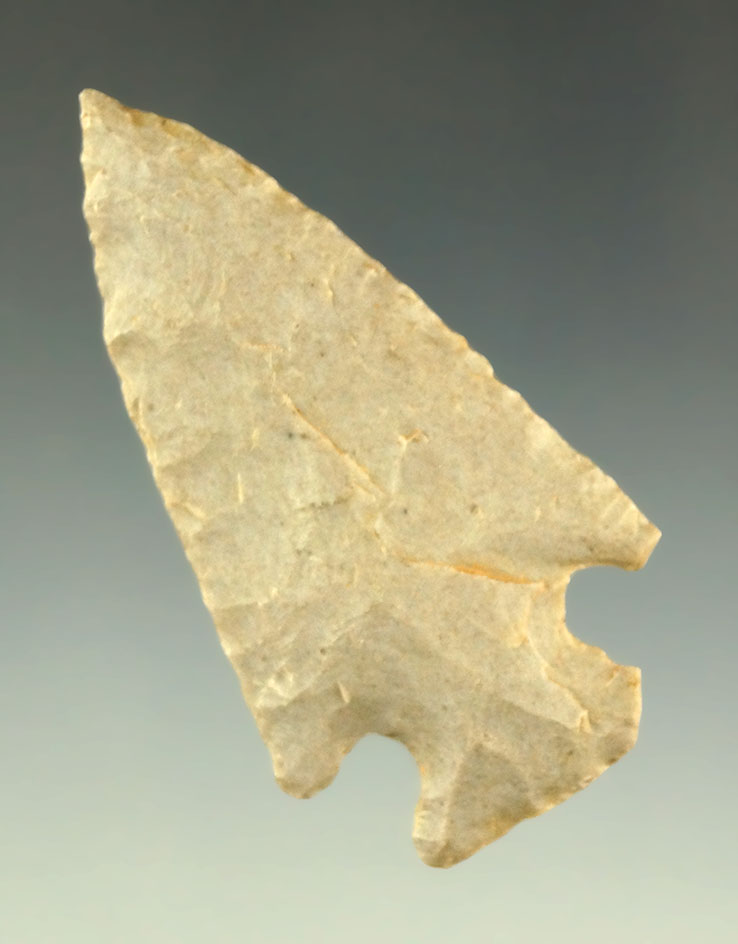 2 3/16" Grand point found by Bob Waters in Sequoyah County Oklahoma - Perino COA.