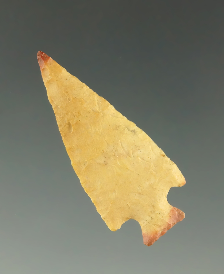 Pictured! 1 3/8" Scallorn - Jackson County Arkansas.  Motley COA. Pictured in  Overstreet 15.