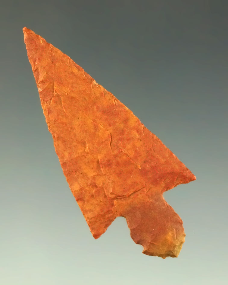 Exceptional! Large for size, 1 11/16" thin and well flaked Hayes point found in Arkansas.