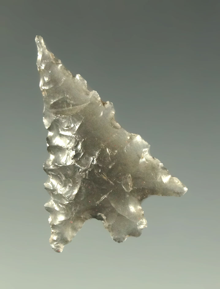 Well flaked 1 3/16" Calapooya point found in northern California. Ex. Charles Shewey.