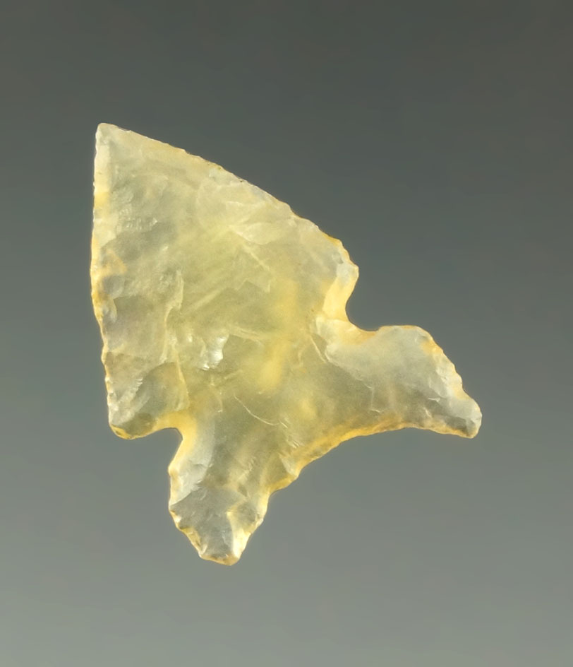 Pictured! 13/16" Washita – Peno  found in western Oklahoma. Featured in the Overstreet 15.