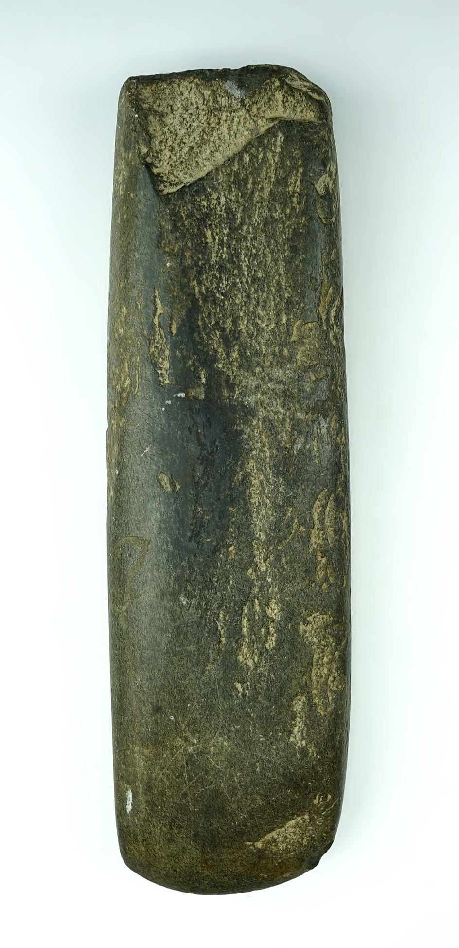 Large and highly polished 9 1/4" Slate Celt. A few small dings to the bit but overall in great condi