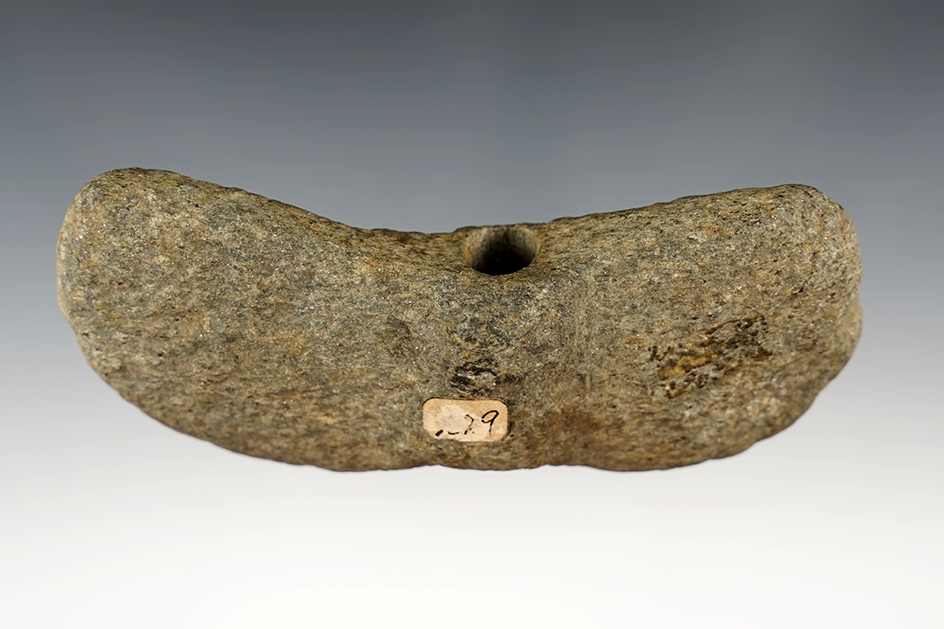 4 5/8" long Wing Bannerstone found in Cecil Co., Maryland. Nicely patinated.