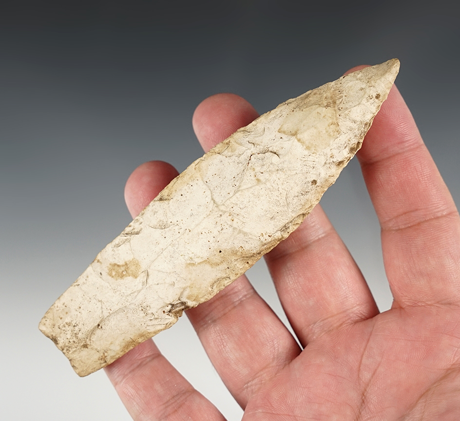 Well patinated 4 15/16" Sedalia found in Illinois.