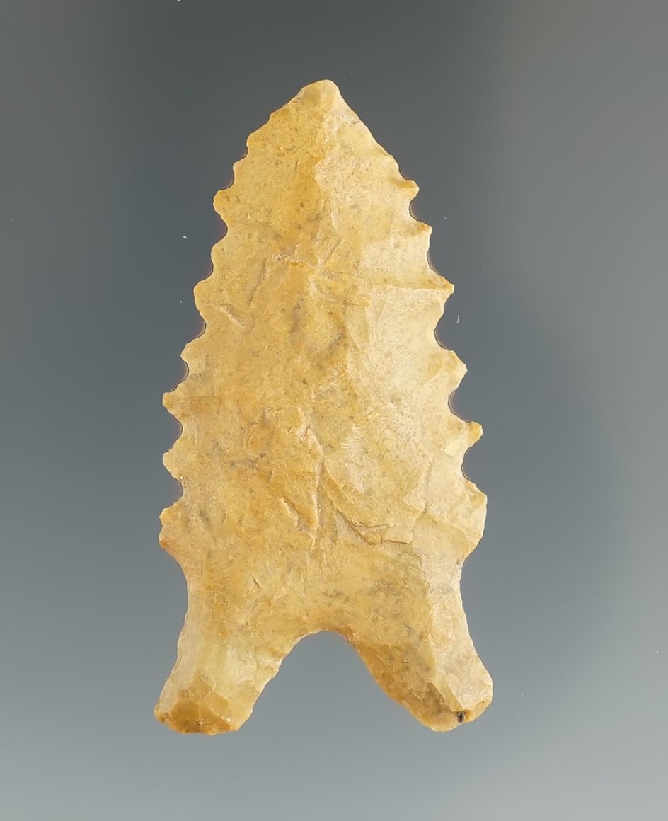 2" heavily patinated Dalton with nice edge serrations found in Arkansas.