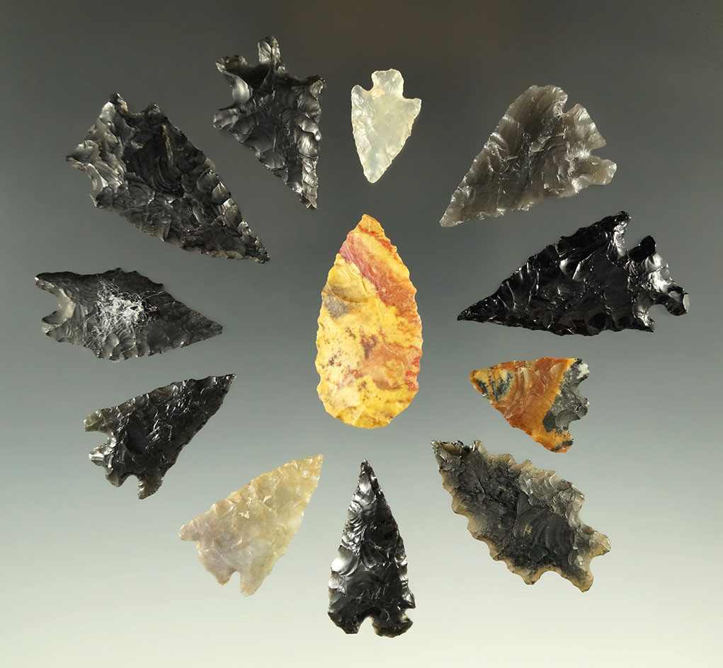 set of 12 assorted arrowheads found in Nevada, largest is 1 13/16".