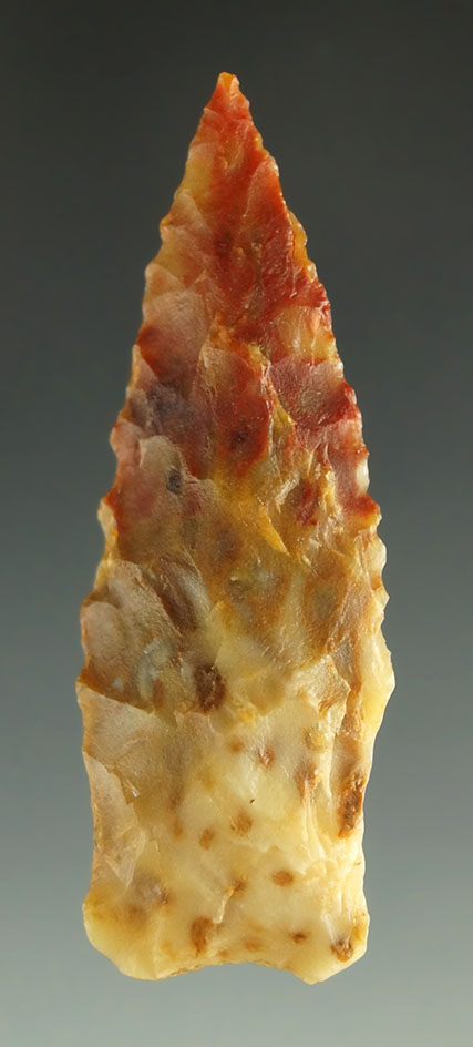 1 7/8" Bajada point - Debaca County New Mexico, just south of Melrose.Petrified Palmwood.