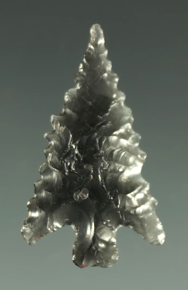 Ex. Museum! Nicely serrated and well styled 1" obsidian Calapooya - California. Ex. Shewey.