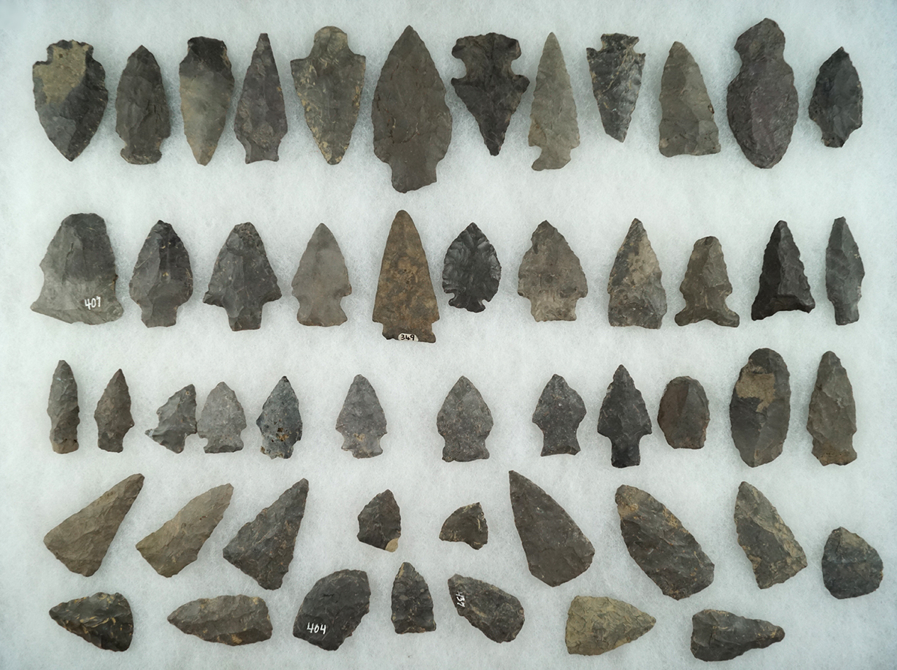 Approximately 50 assorted points and knives found near the upper Susquehanna, Otsego County NY.