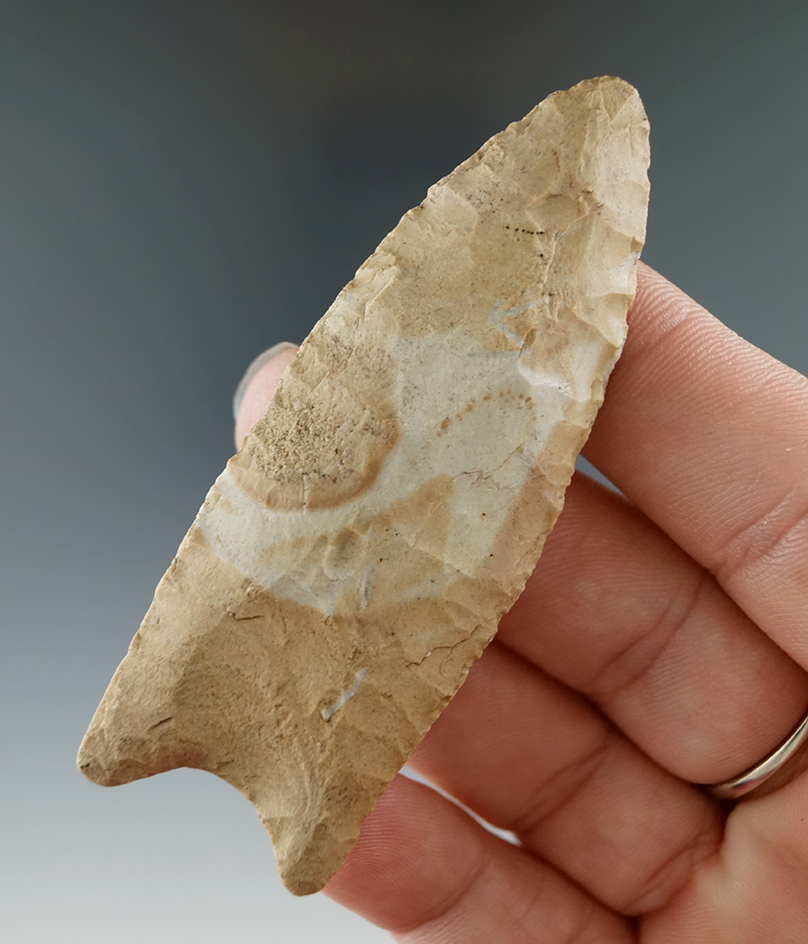 2 15/16" Paleo Clovis - Allegheny Mountains region of PA. Ex. Cole, Copeland. Bennett COA.