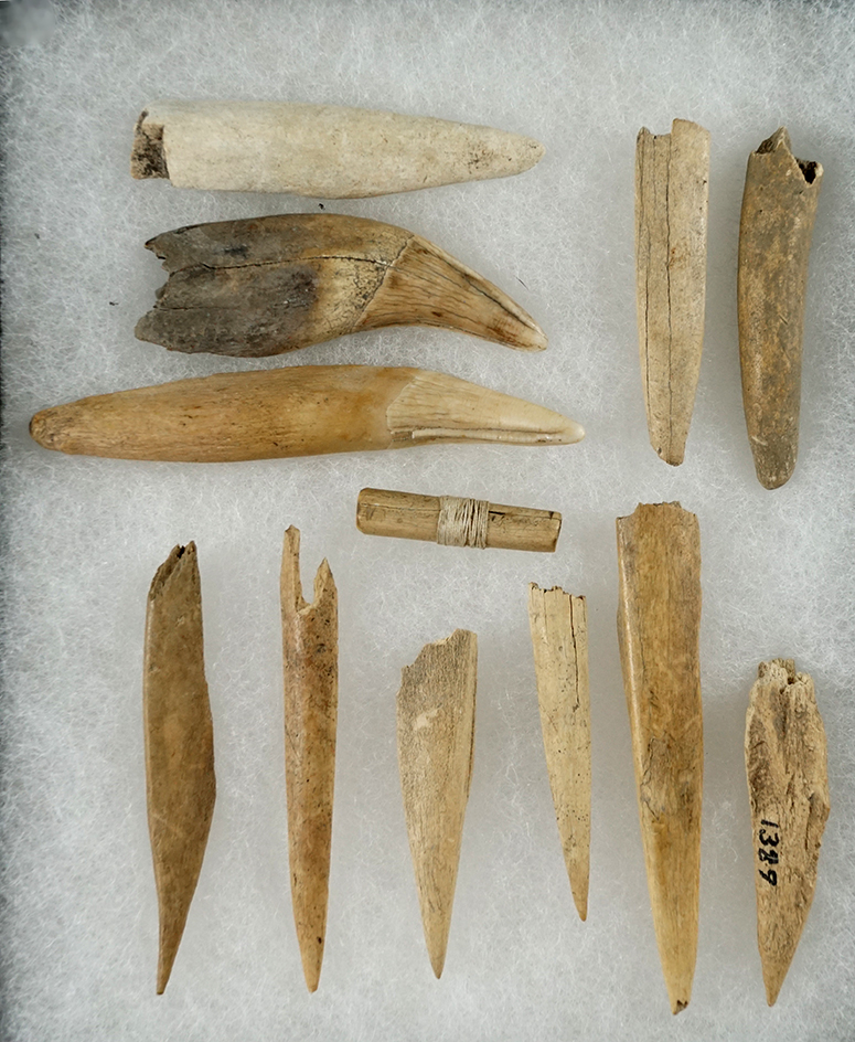 Group of 12 assorted bone Awls, beads and bear canine teeth found in NY. Largest is 2 11/16".