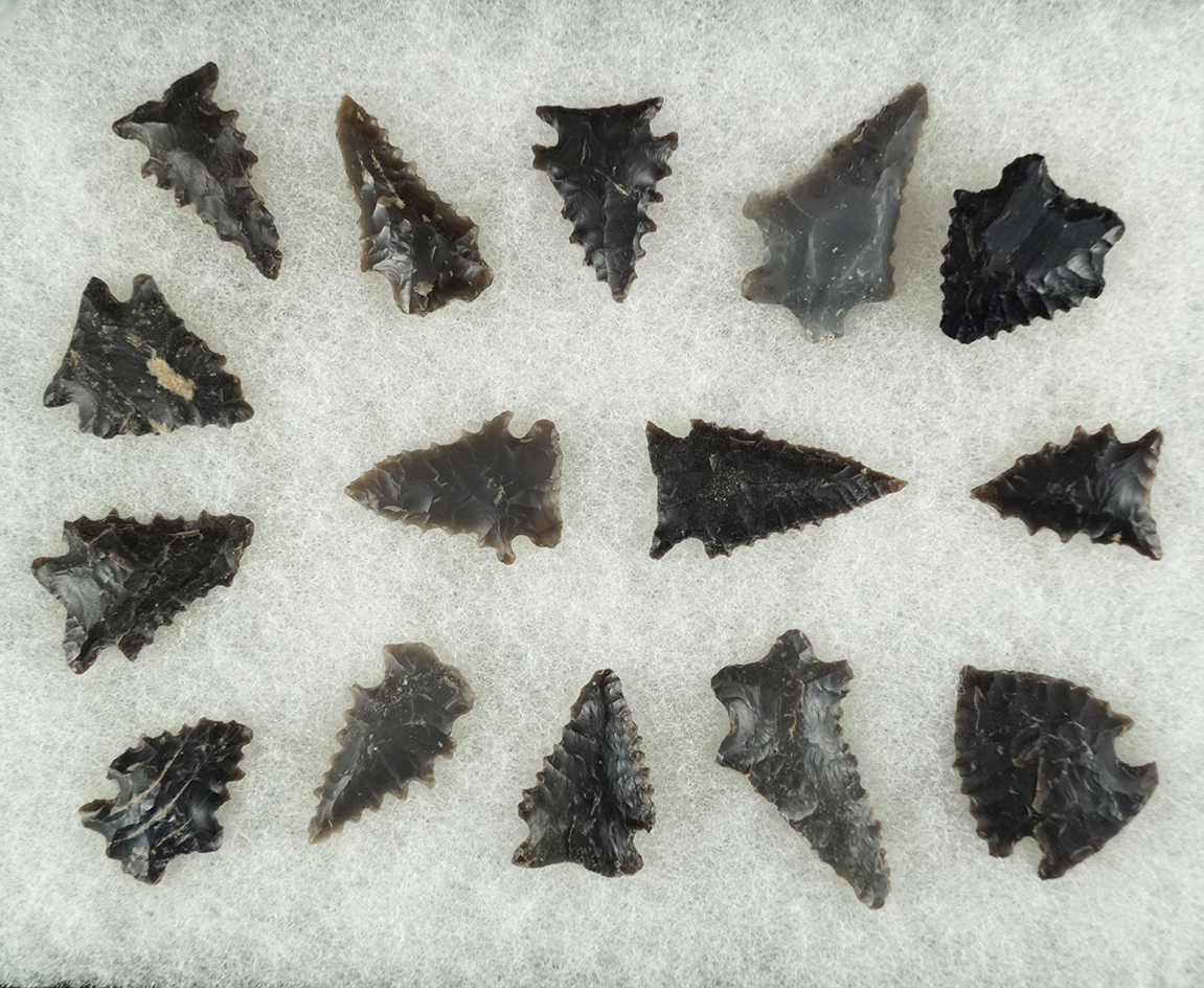 Nice assortment of 15 serrated arrowheads found in NY and Pennsylvania. Largest is 1 9/16".