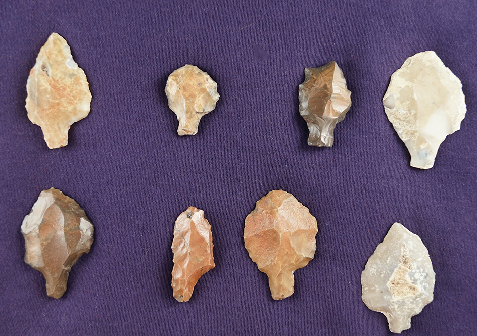 Unique! 8 middle Paleolithic stemmed artifacts - plateau of Thebes, Egypt. Circa 120,000-45,000 BC.