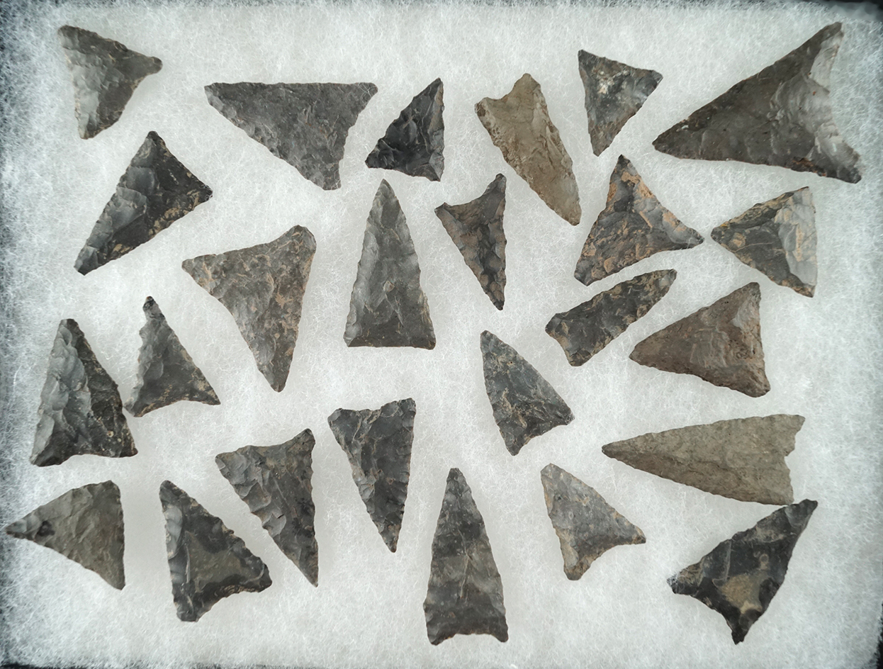 Group of points from upper Susquehanna, Otsego County NY. Largest is 1 3/4".