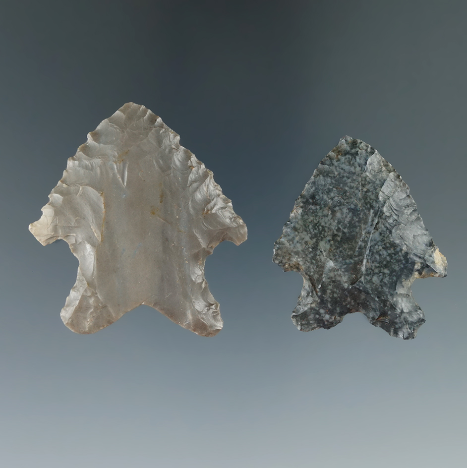 Pair of bifurcates found in Michigan, largest is 2".