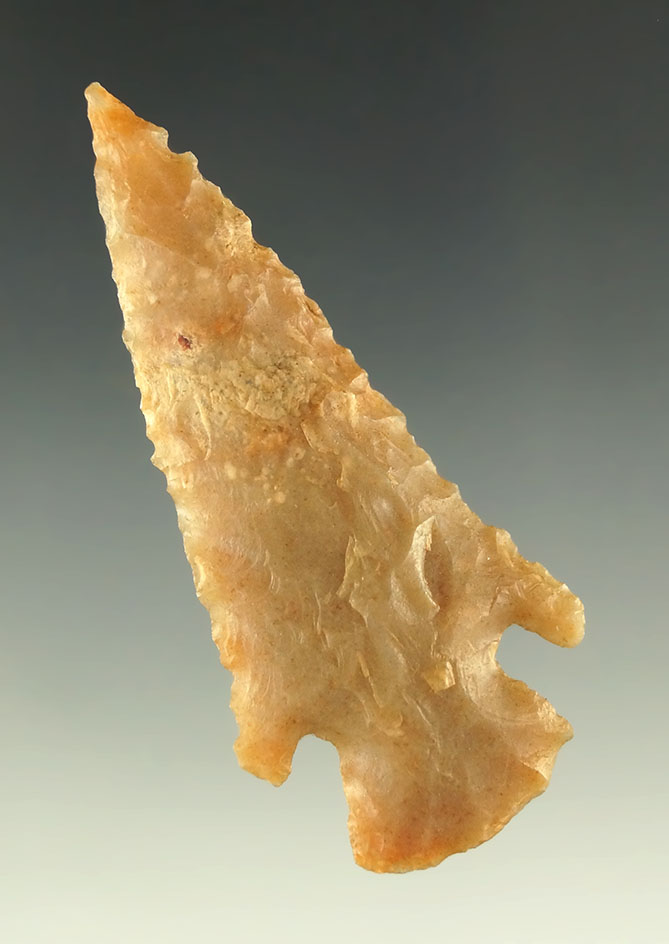 2 5/16" nicely serrated dart point or Knife made from High quality material found in Kansas.