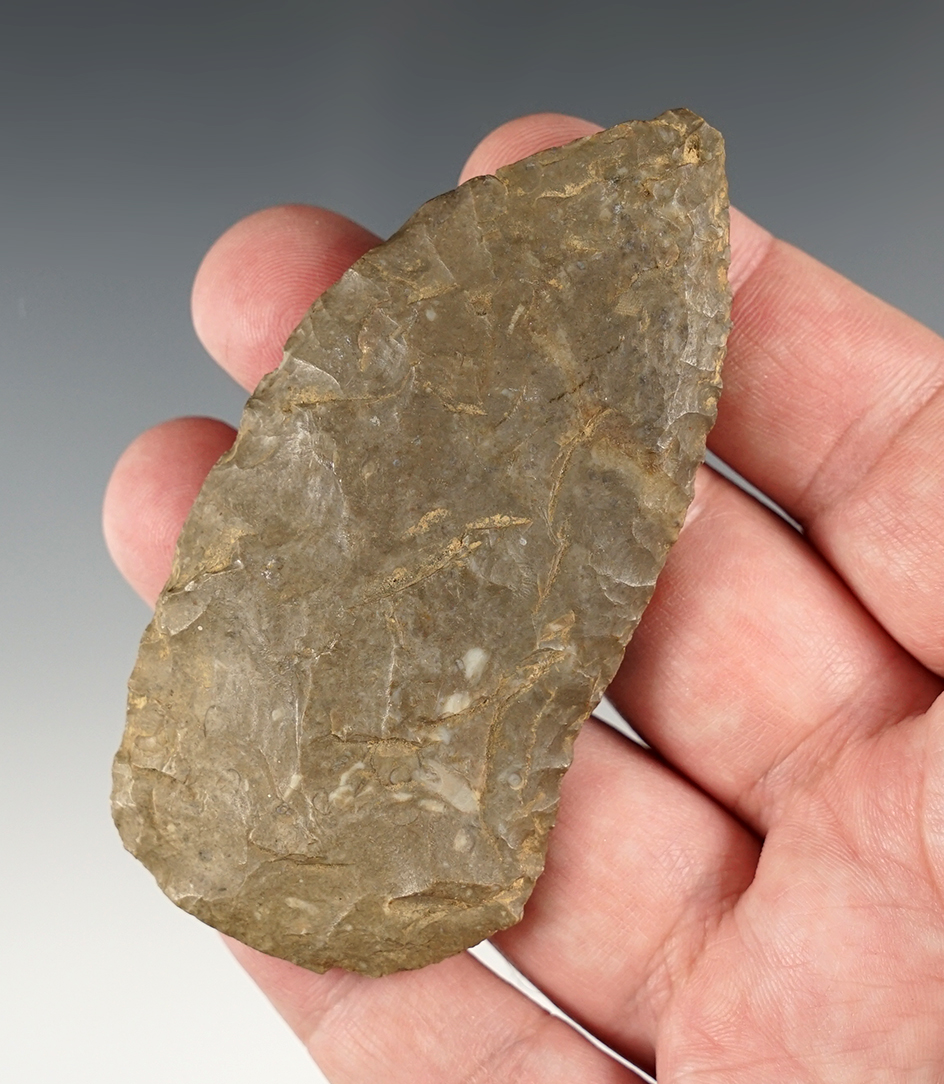 Nice 3 7/16" Archaic Blade found in the Connecticut River Valley. Comes with a Bennett COA.