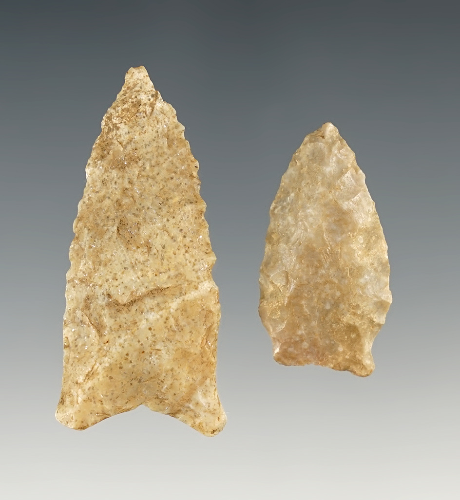 Pair of nice points including a San Patrice from Missouri and a Dalton from Illinois.