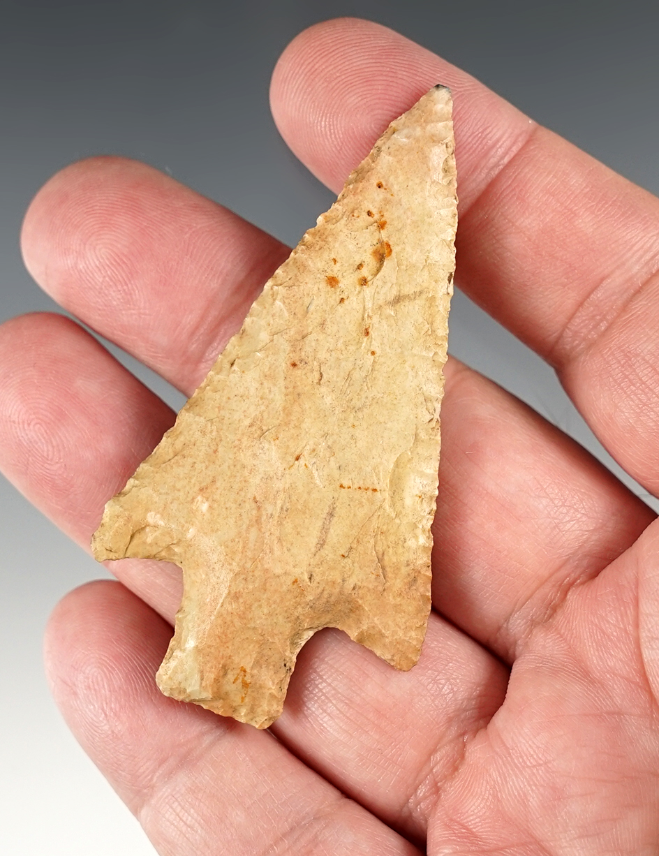 2 13/16" Finely made Stemmed point found in Butler Co., Missouri. Ex. Lynn Munger.