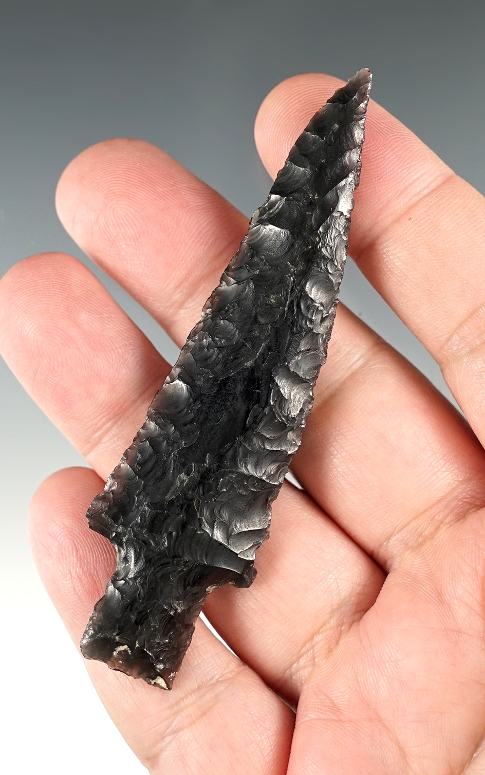 Superbly made 3 1/2" Obsidian Stemmed point with beautiful flaking. Tule Lake, Siskiyou Co., CA.