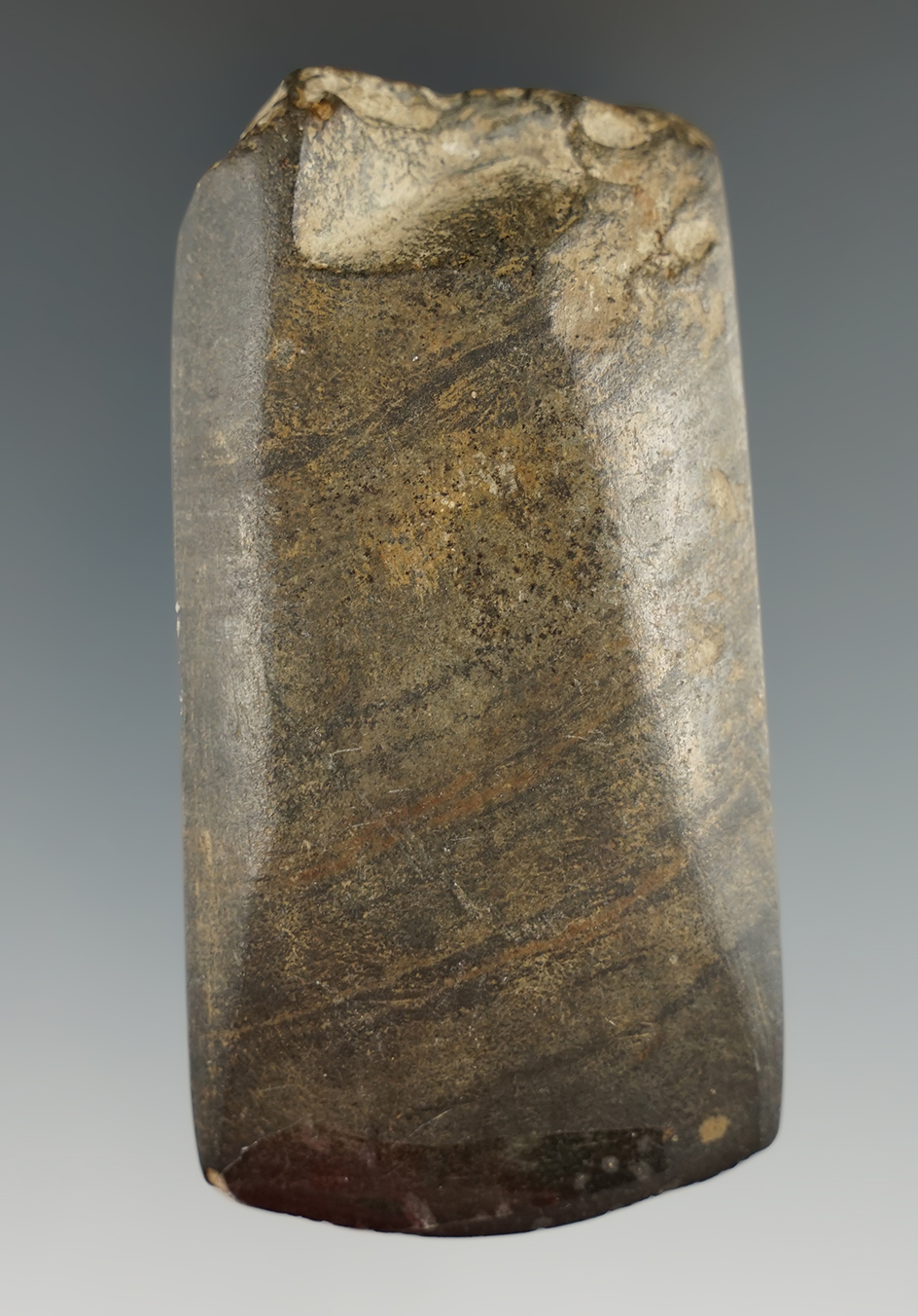 3 1/4" Beautifully crafted slate Beveled Lamoka Adze found at Mohawk Valley, New York.