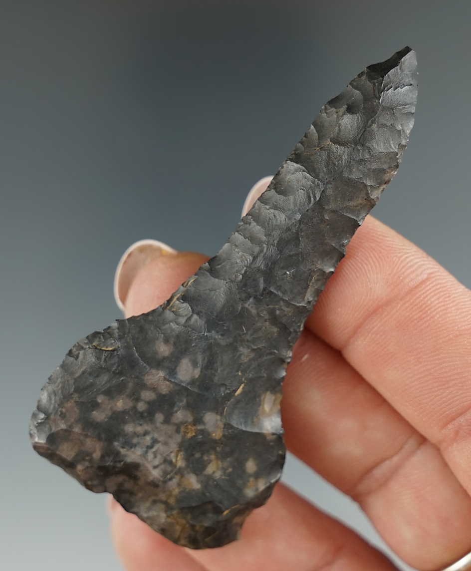 2 3/4" Coshocton Flint Drill found in Morrow Co., Ohio. Ex. Len Weidner.