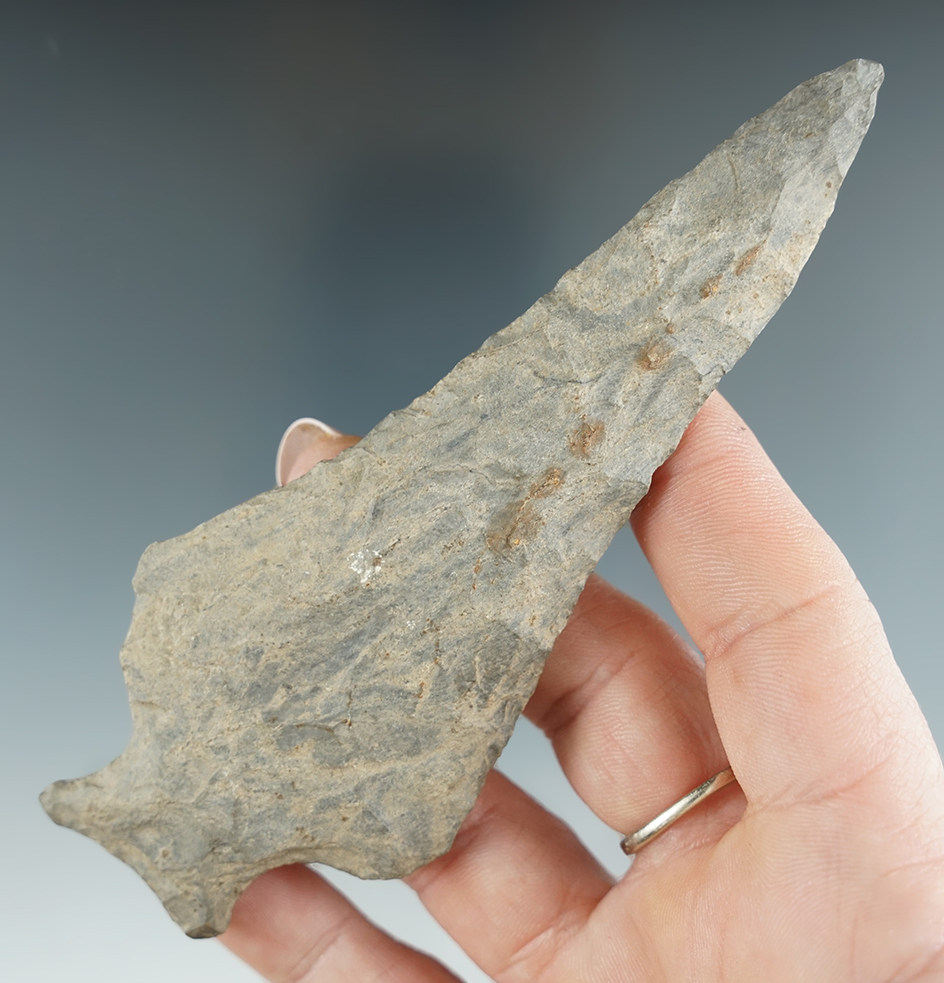 4 13/16" Susquehanna Broad Point in nice condition found in Pennsylvania.