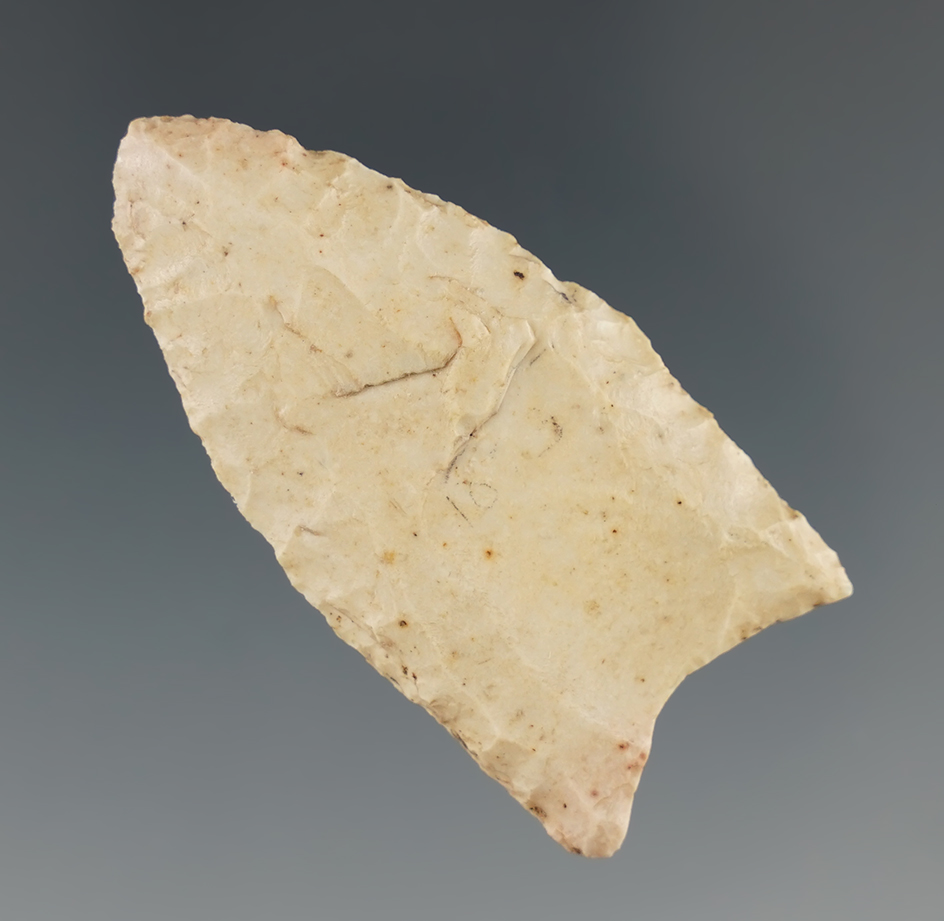 1 7/8" Burlington Chert Paleo fluted Lanceolate found in Missouri. Ex. Richard Stevens. 2 COAs.