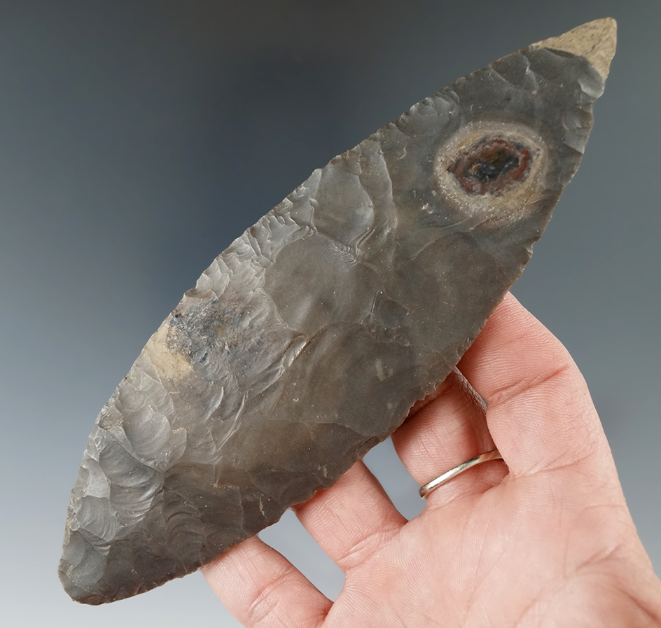 6 1/16" Well flaked Turkeytail Knife made from Hornstone found in southern Michigan.