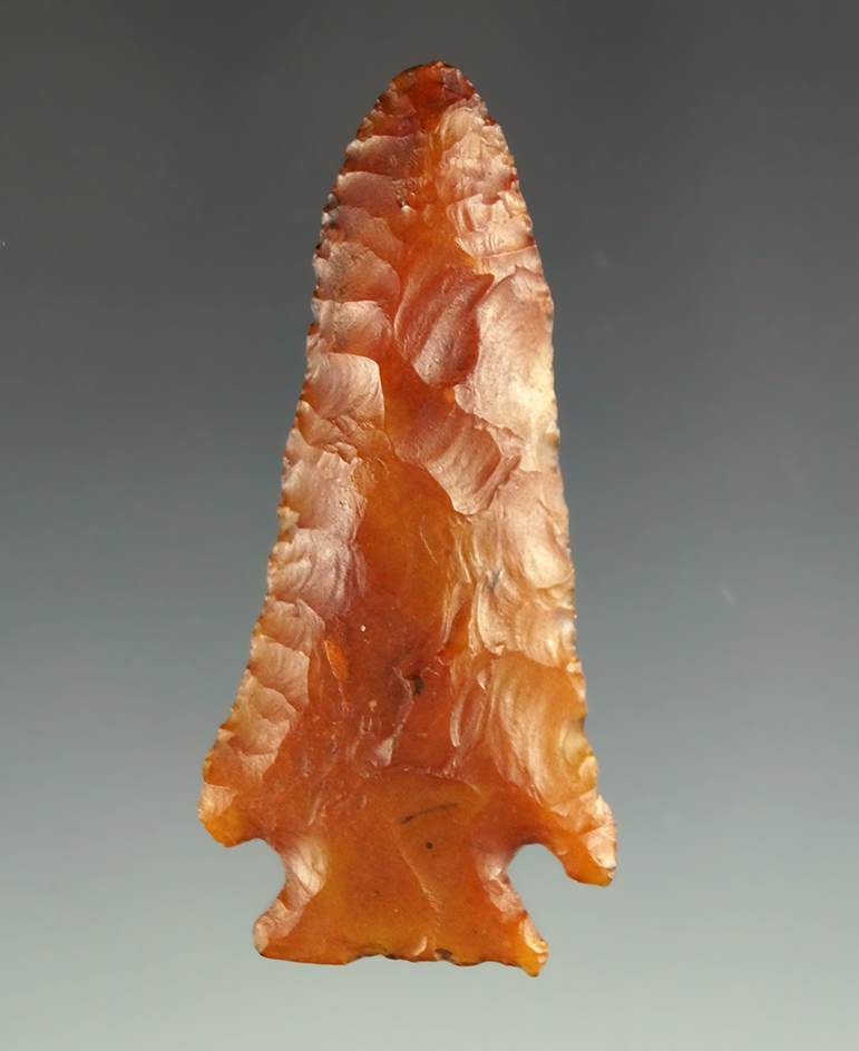 Nicely translucent 2 1/4" Florida point made from heat-treated Agatized coral.