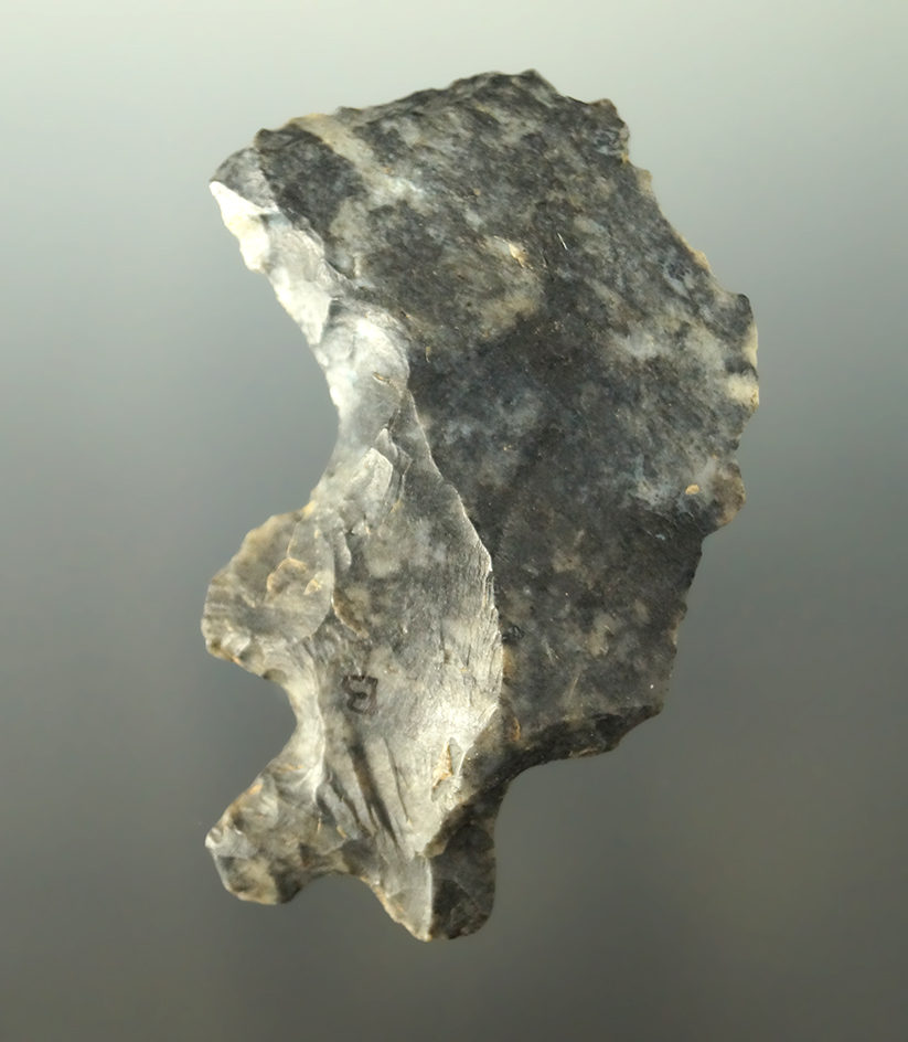 Excellent example! 2 1/2" Shaft Scraper found in Ohio. Ex. Wehrle, Norm Dunn, Jack Hooks.