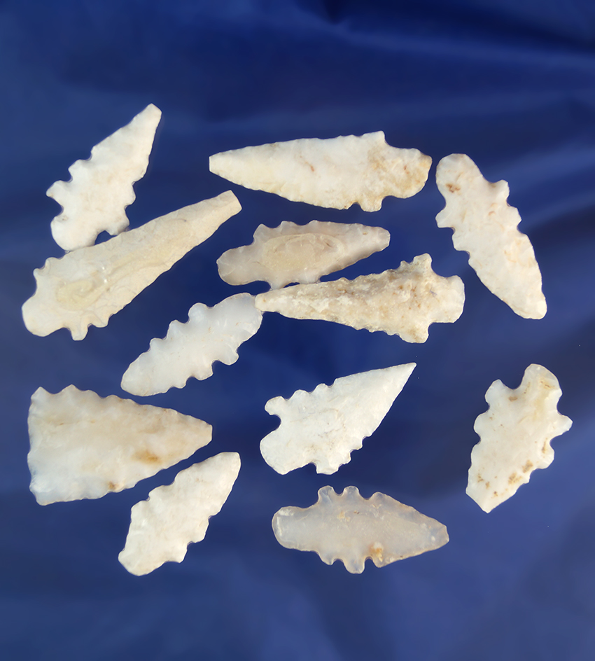 Set of 12 nice arrowheads in good condition found in New Mexico, largest is 1 7/8".
