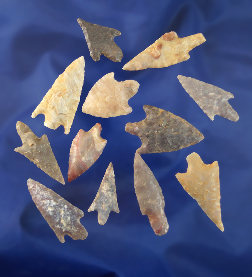 Set of 12 assorted Neolithic arrowheads found in the northern Sahara region of Africa.