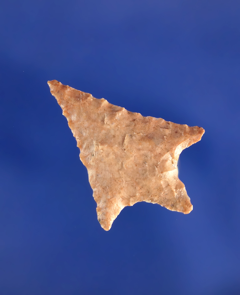 1" Wallula found in Washington. Ex. Vern Emil collection.