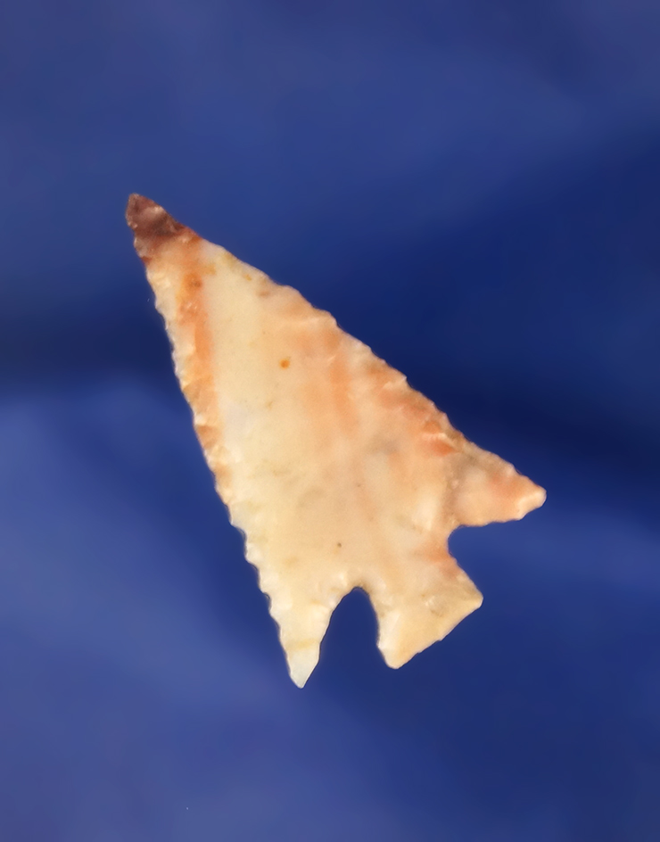 Very thin and well styled 1 1/16" Columbia Plateau  found near the John Day rapids by Kaye Don Bruce