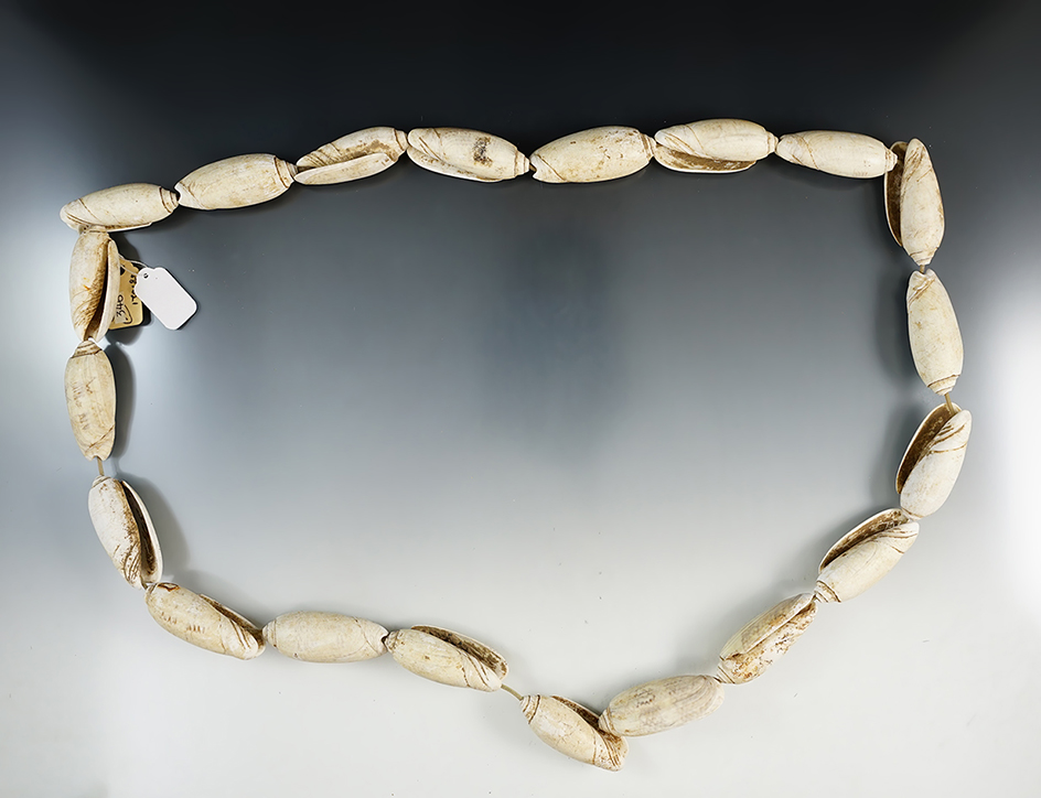 32" Long ancient strand of drilled shell beads - Red River - Logan Co., Kentucky 1985.