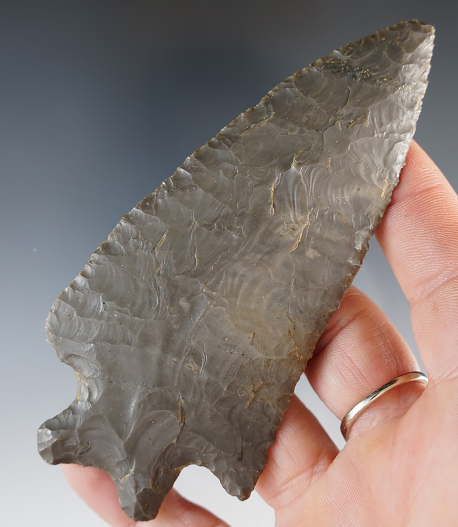 Investment grade large and thin 4 3/8" MacCorkle Bifurcate. Bennett COA.