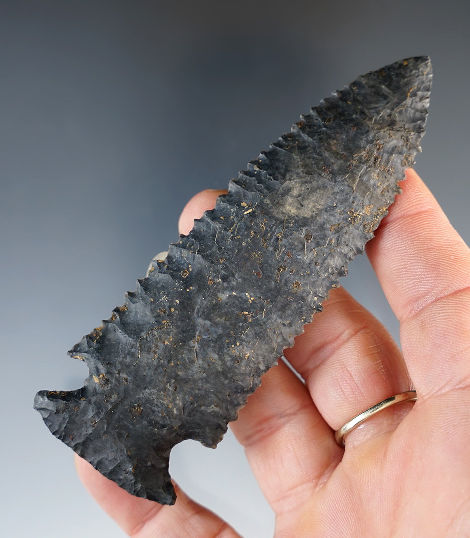 Sale Highlight! 4 1/8" Coshocton Stilwell that is highly serrated. Found in Vermillion Co., IN.