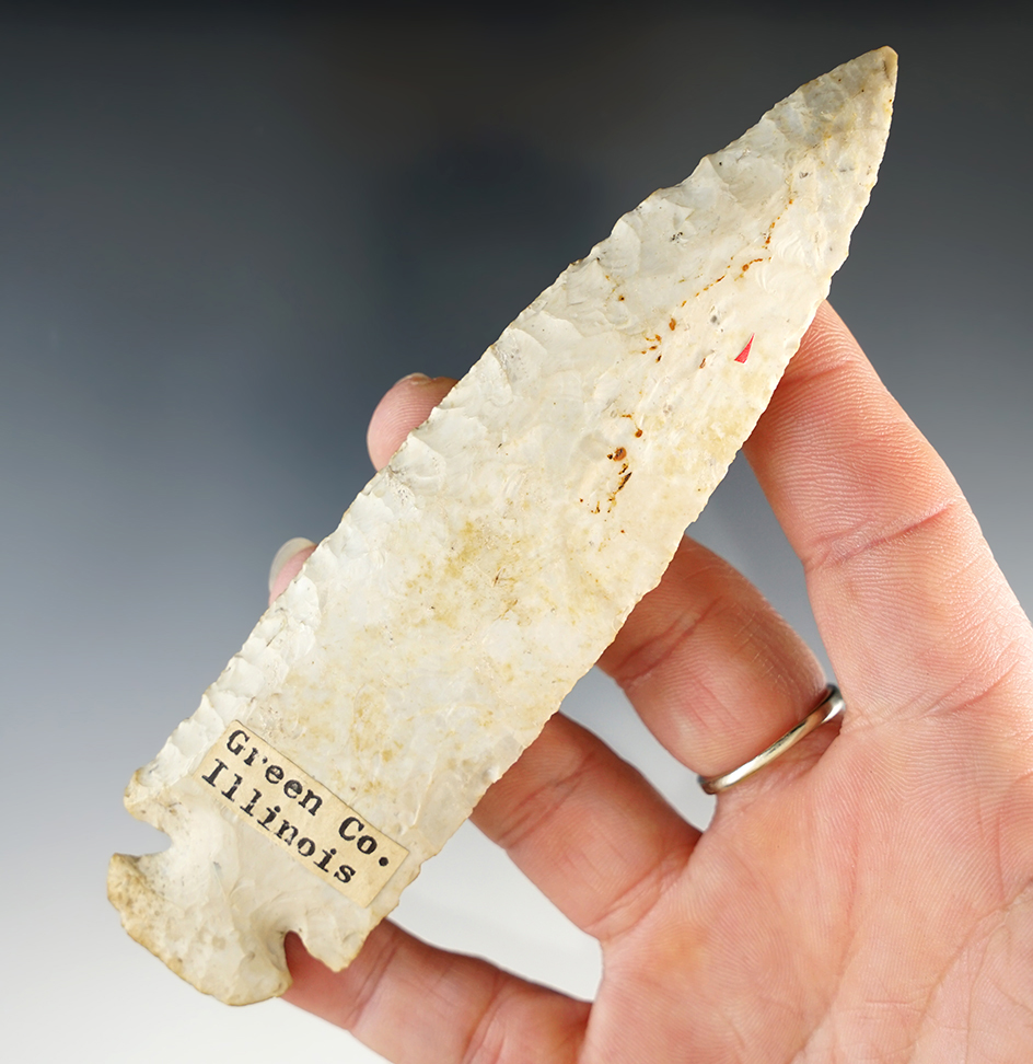 Large and nice 5 1/2" Nicely beveled Dovetail found in Green Co., Illinois. Nice deposits.