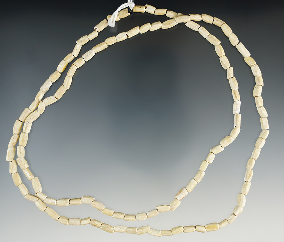 32" Long strand of drilled shell beads recovered in Tennessee.