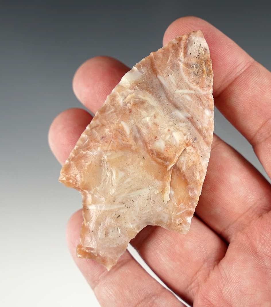 Colorful and finely made 3 1/4" Newnan point  found in Florida. Ex. Len Weidner.