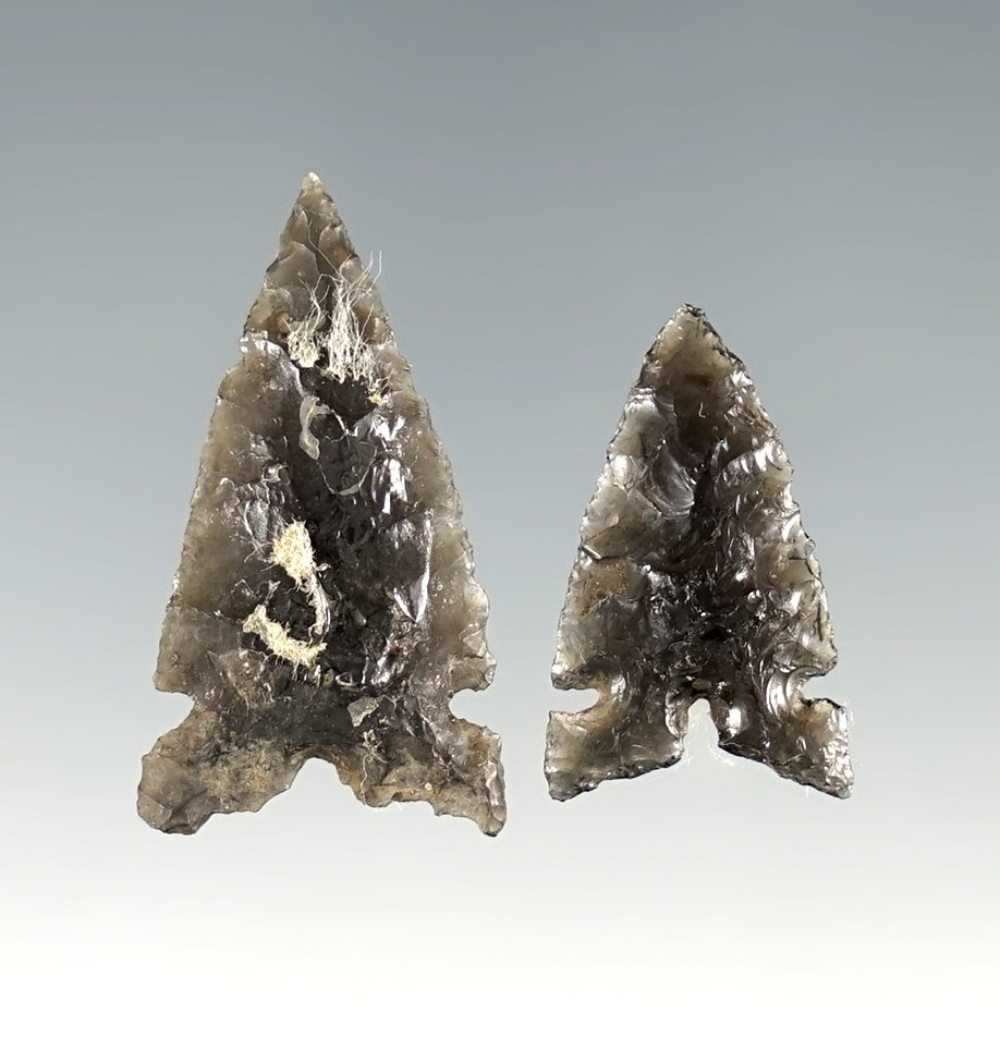 Pair of well made Obsidian points found in Oregon. The largest is 1 1/8".