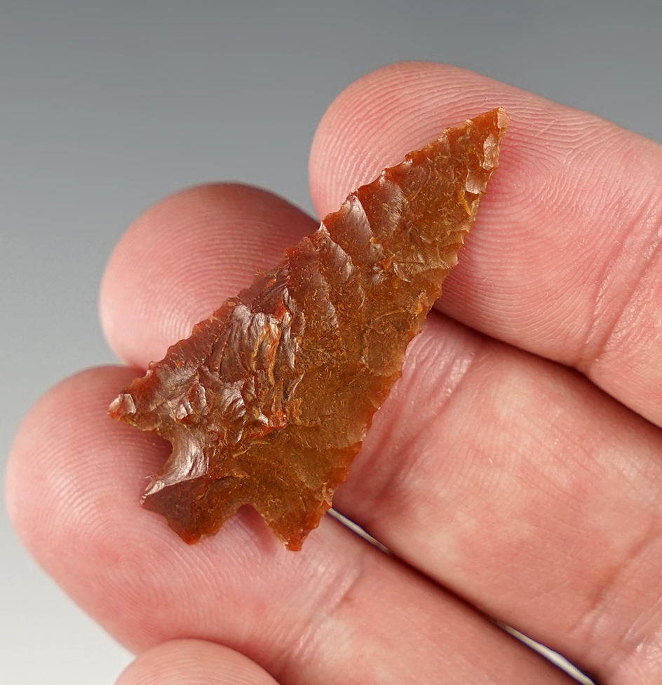 Well made 1 9/16" Wallula Gap with fine serrations. Found in the Dalles area by Don Gillogly.