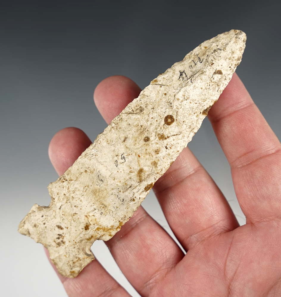 4 11/16" Graham Cave found in Pike Co., Illinois.