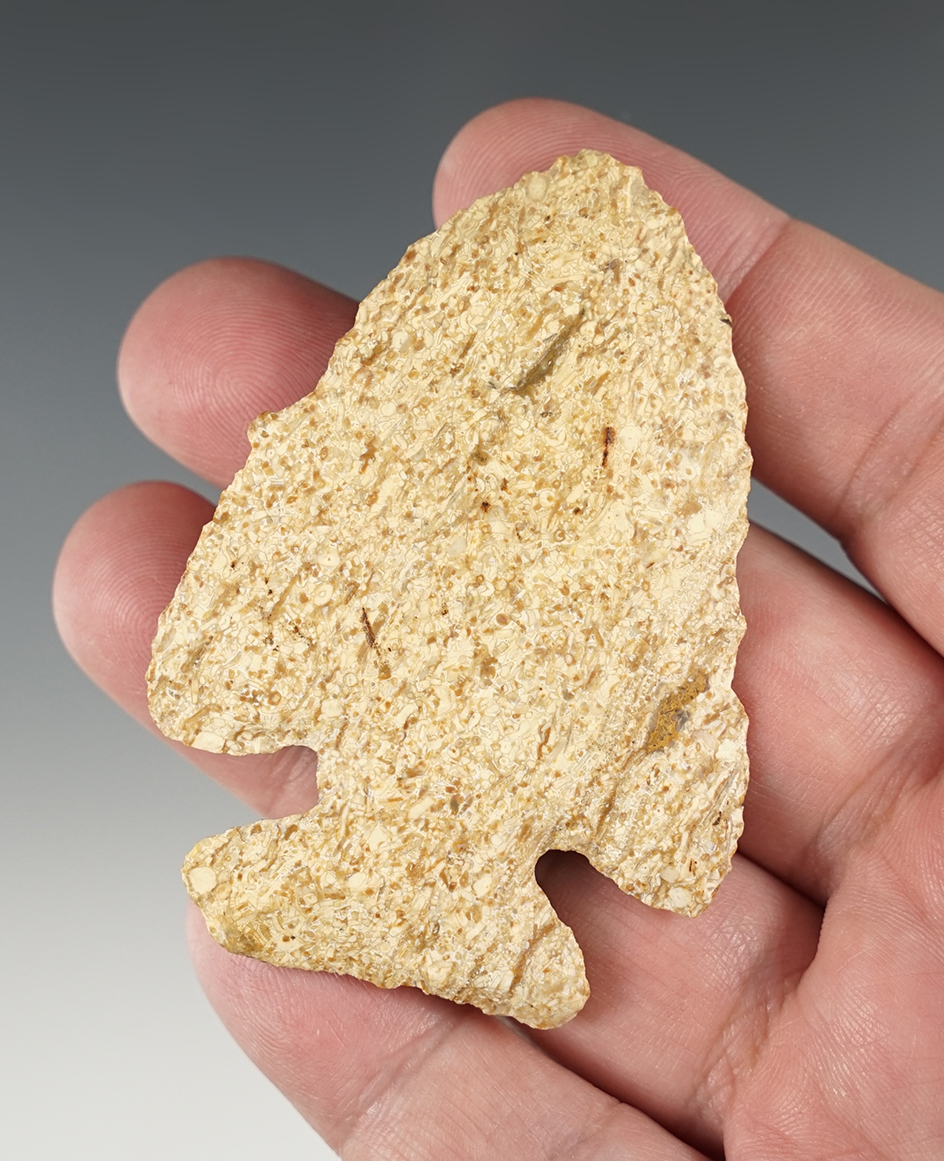 2 13/16" Thebes made from Harrodsburg chert and found in Harrison Co., Indiana.