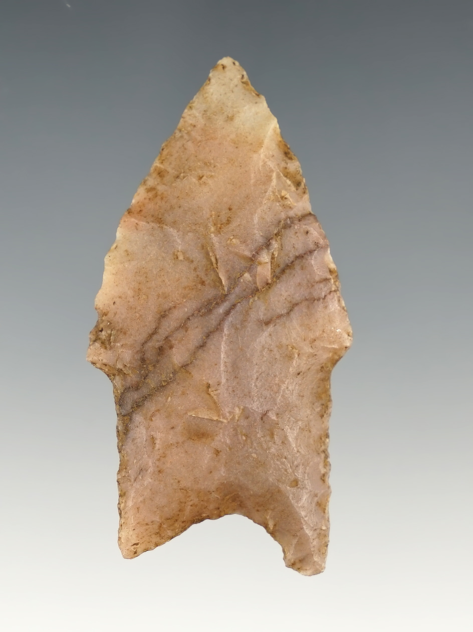 2 3/8" Pinto Basin/Archaic point found in Santa Rosa, New Mexico. Nicely patinated. COA.