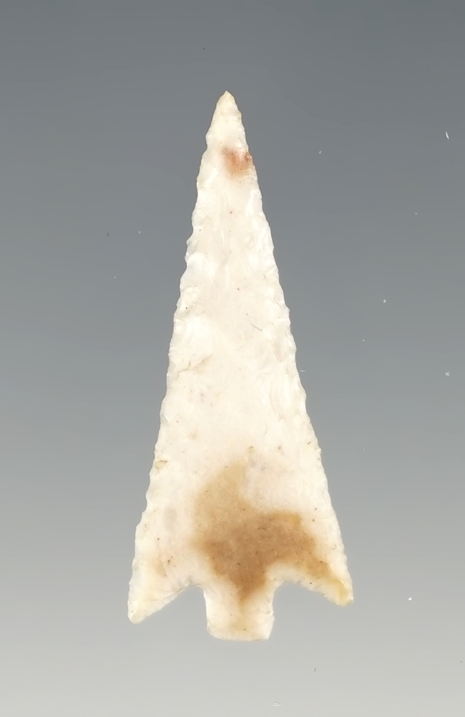 Thin and well made 1 1/8" Wallula found near the Columbia River.