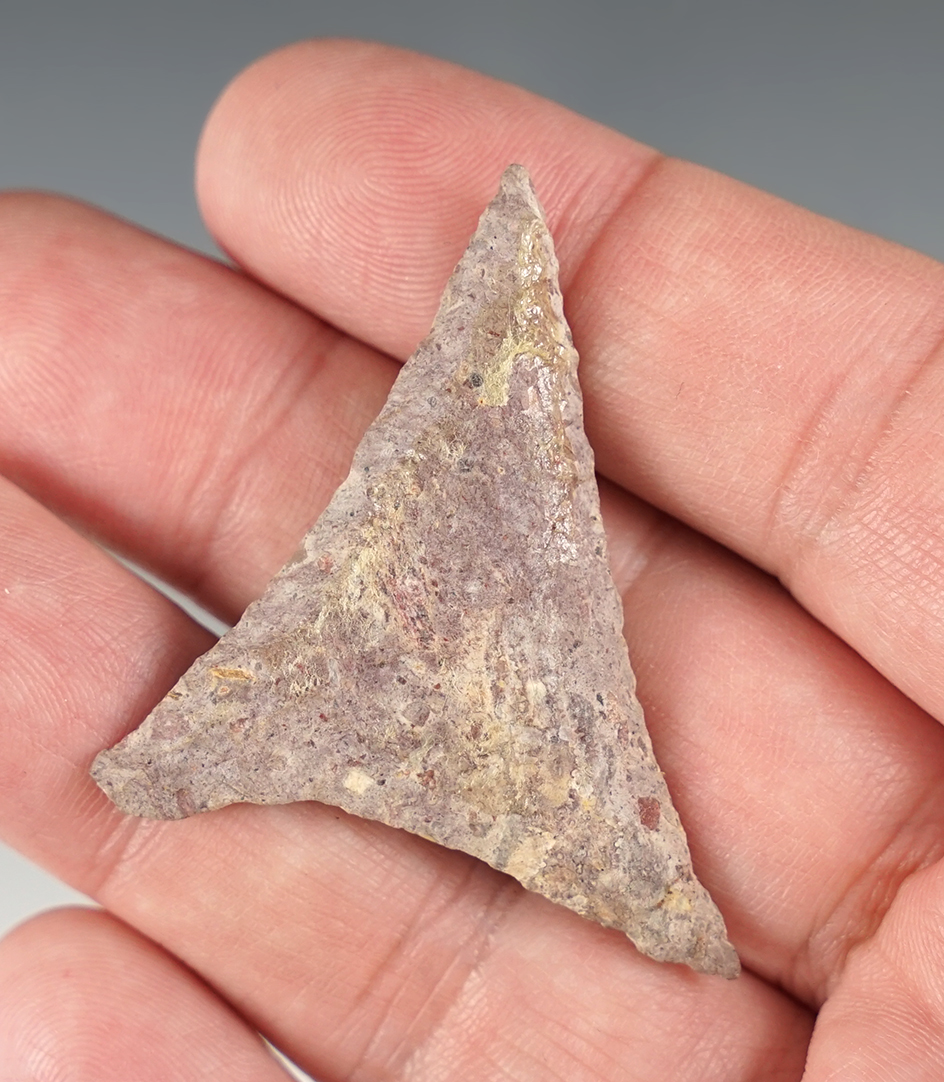 1 7/8" Triangle point found in Martha's Vineyard, Massachusetts.