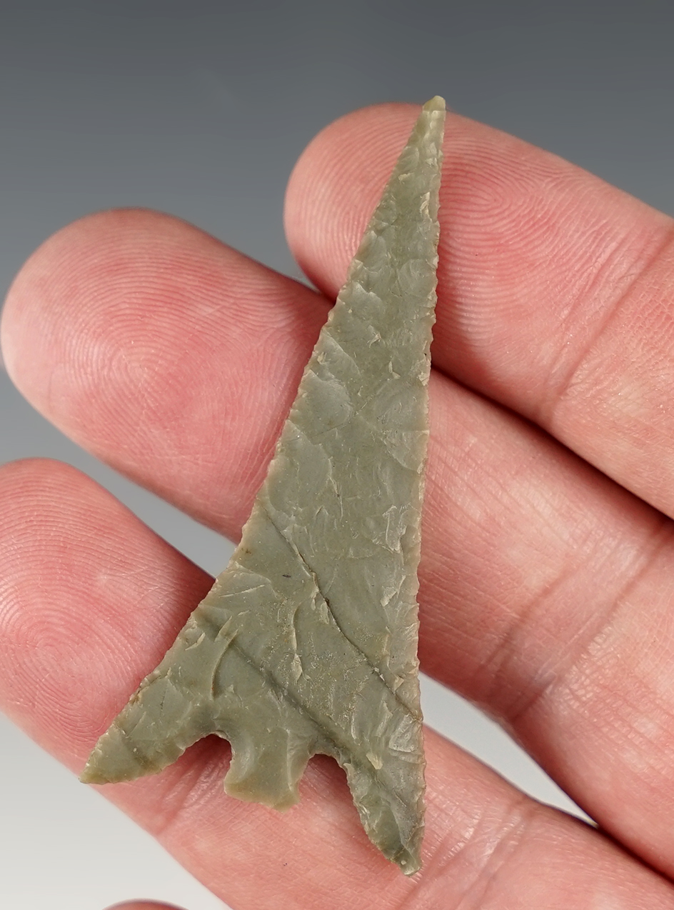 Sale Highlight! One of the famous "Beach Arrows" found in the Humboldt Bay area, California.